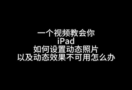 如何制作intolive动态壁纸