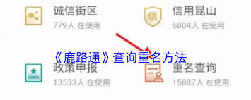 鹿路通怎么查询申报进度
