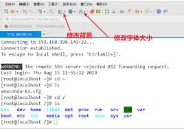 终端模拟器软件怎么用