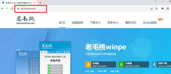 WonderPen如何将空格替换为没有