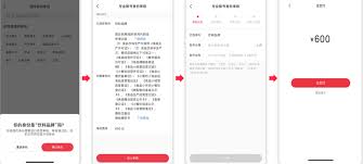小红书专业号身份选择失败如何解决