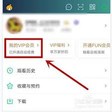 爱奇艺会员如何取消自动续费