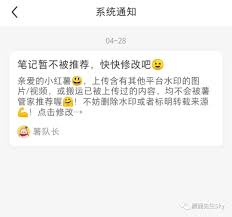 小红书被禁言了怎么解决