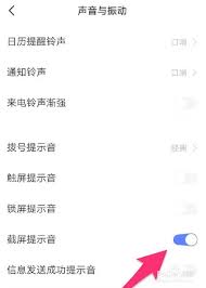 苹果手机如何取消声音截屏时的铃声