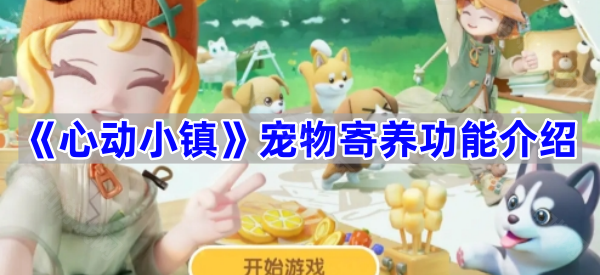 《心动小镇》宠物寄养功能介绍