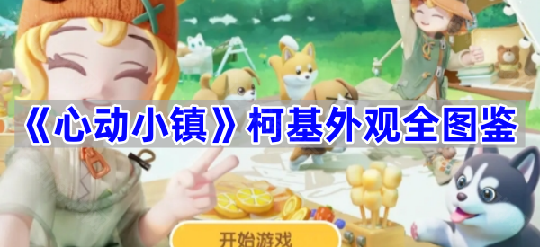 《心动小镇》柯基外观全图鉴