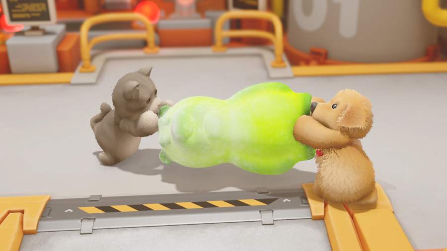 动物派对无法联机怎么办 动物派对无法联机怎么办