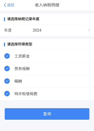 个人所得税收入怎么查询