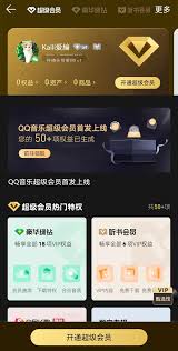 QQ音乐超级会员有哪些权益