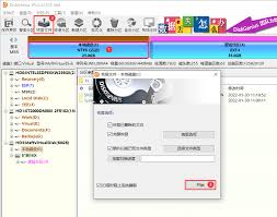 DiskGenius如何恢复特定文件类型