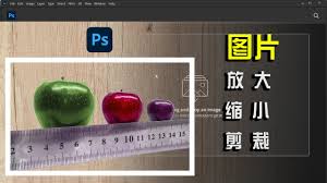 PS怎么缩小图片