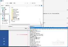 如何打开特殊文件格式