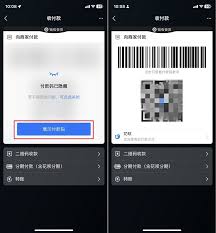 如何设置“付款码隐私保护”