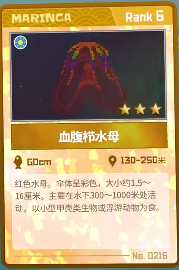 潜水员戴夫血腹栉水母怎么抓