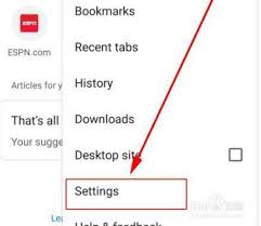 Google浏览器设置中文