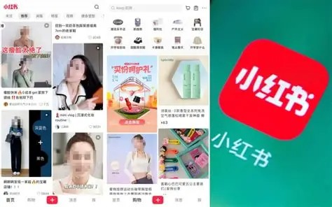 网页版小红书直达入口-无需APP直接访问网页版小红书