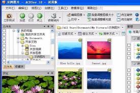 NEF文件是什么格式