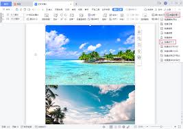 Word中如何统一调整多张图片尺寸