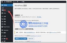 Wordpress如何解除主题和插件加密