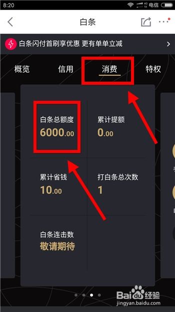 京东白条可以提前还款吗？了解京东白条提前还款详细步骤