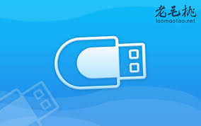 u盘启动出现问题导致蓝屏怎么办