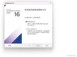 可以在外部硬盘上安装VMware吗