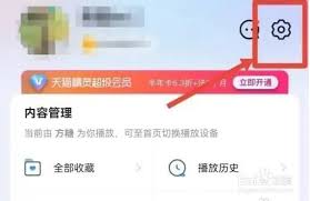 天猫精灵双重认证保护功能如何开启