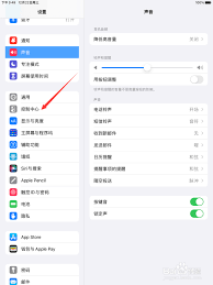 ipad2020如何设置静音