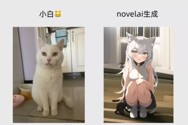 novelai怎么用