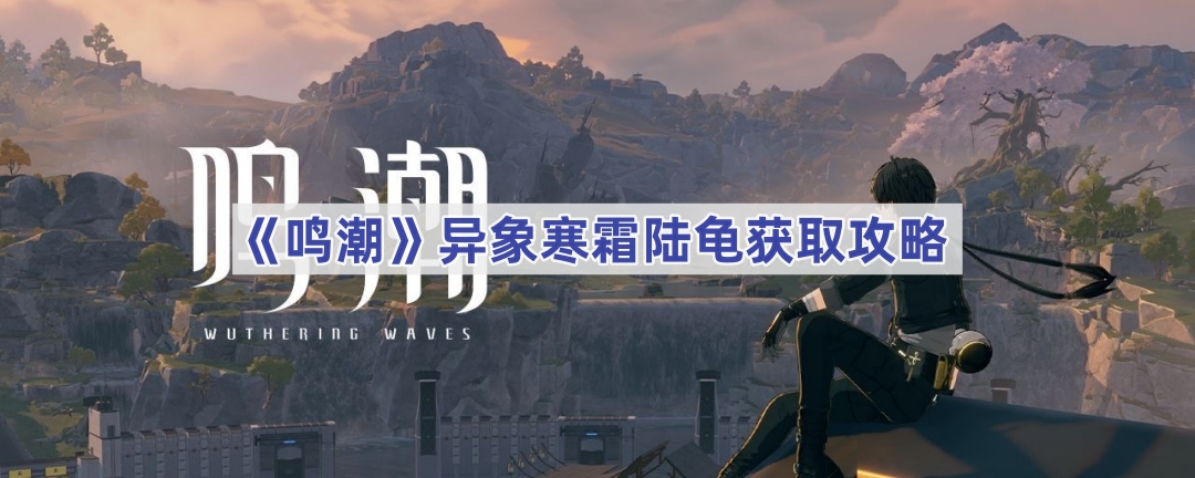 《鸣潮》异象寒霜陆龟获取攻略