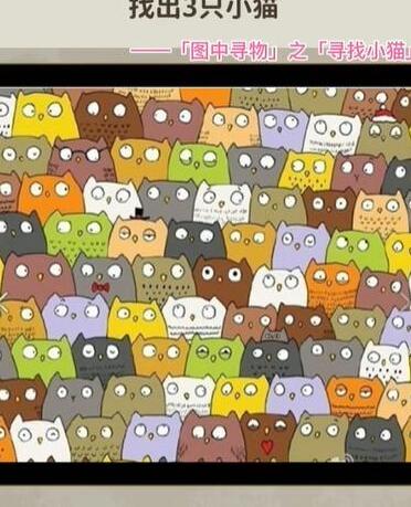 看不见的真相寻找小猫找出三只小猫答案是什么