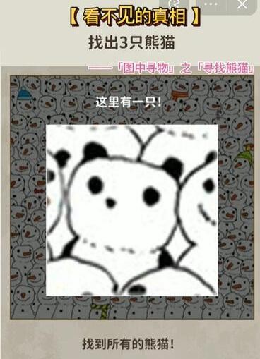 看不见的真相寻找熊猫找到三只熊猫怎么过