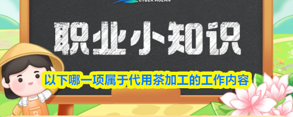 以下哪一项属于代用茶加工的工作内容