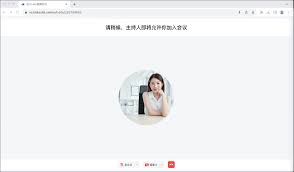 Lark视频会议打不开如何解决