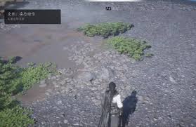 燕云十六声柿业有成活动如何做