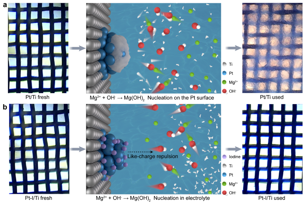 我国科研人员突破海水制氢提镁联产技术，大幅降低氢气生产成本