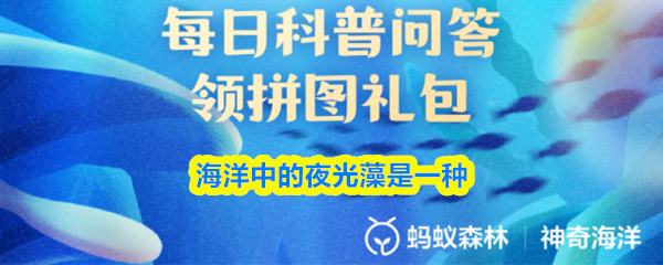 海洋中的夜光藻是一种