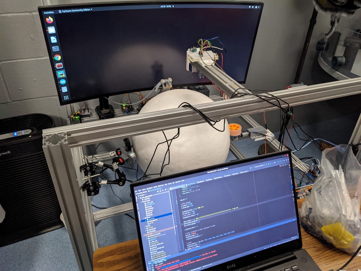 神经工程新突破：老鼠学会在《毁灭战士》中“开火射击”