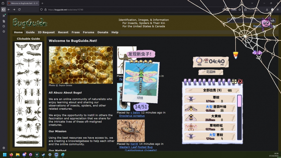 我的小小蜘蛛免安装中文版