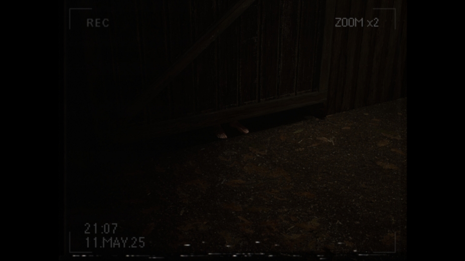 莉莉发生了什么？官方中文版