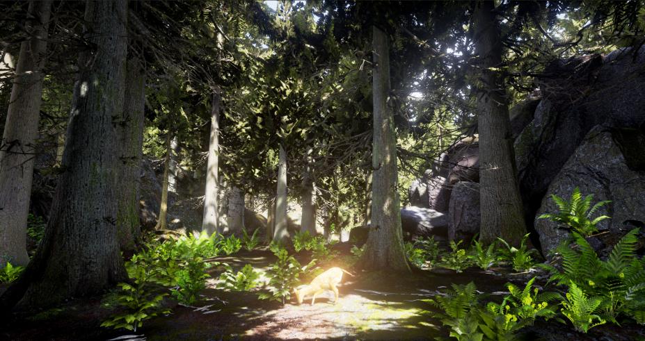 生存：动物模拟免安装绿色版