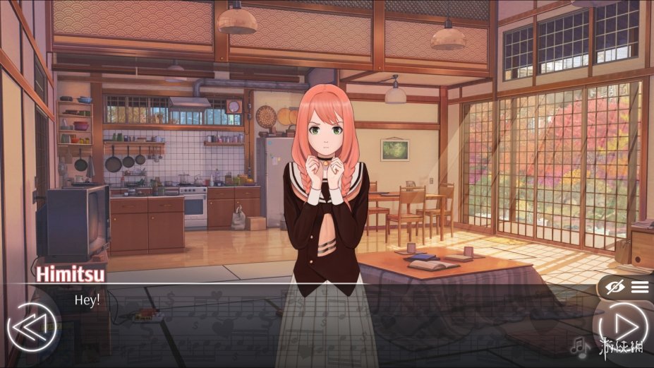 爱情，金钱，摇滚乐免安装绿色中文版