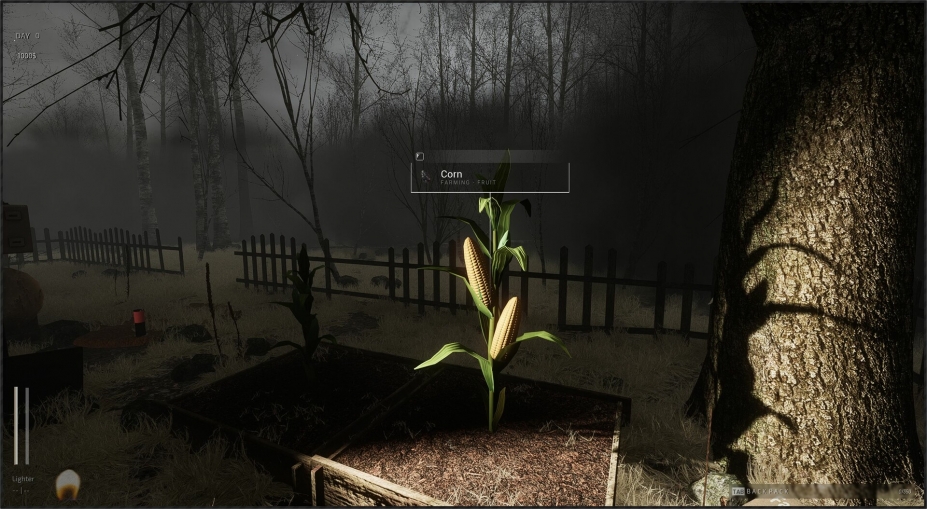 森林之下免安装绿色中文版