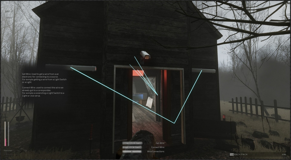 森林之下免安装绿色中文版