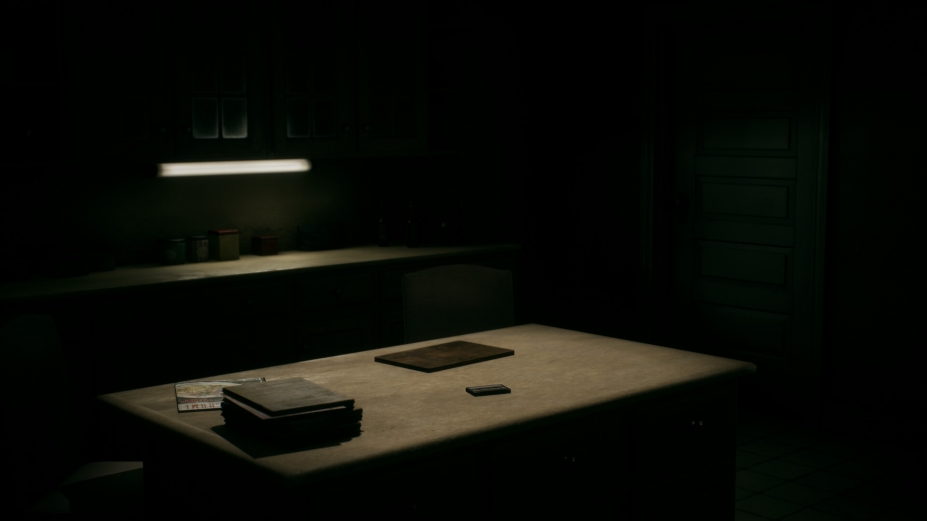 窥维者官方中文版