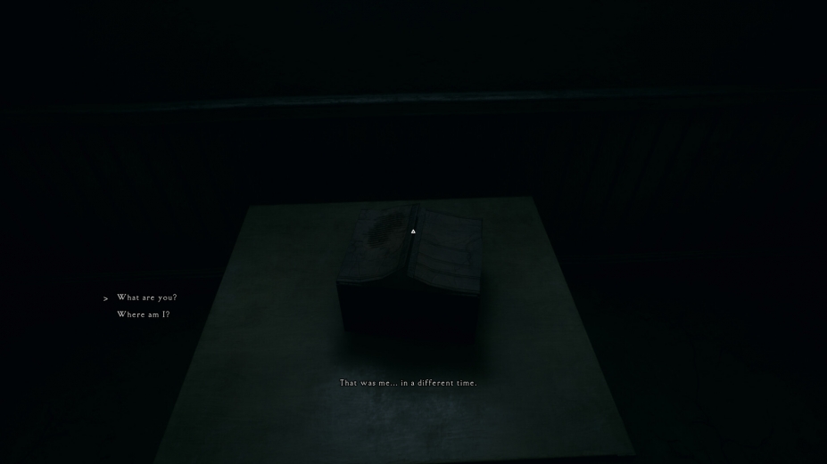 窥维者官方中文版