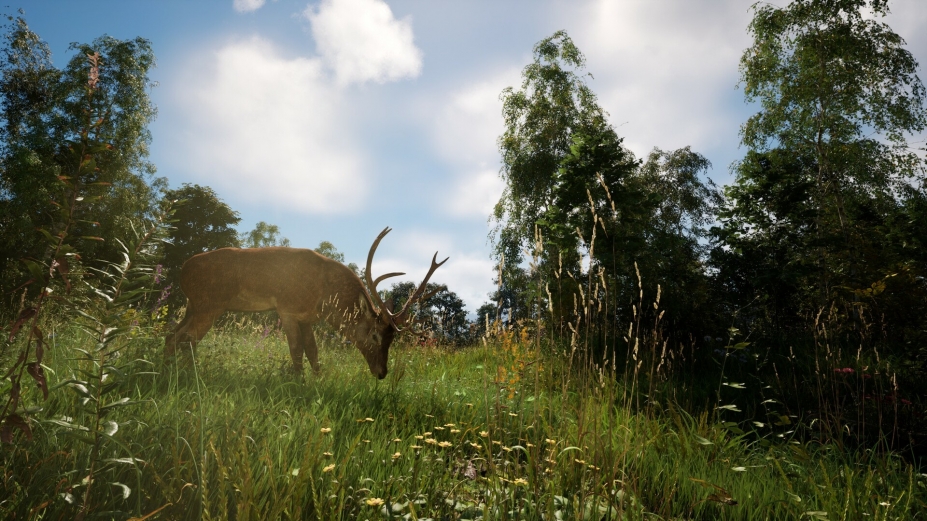 恐惧地带中文汉化版