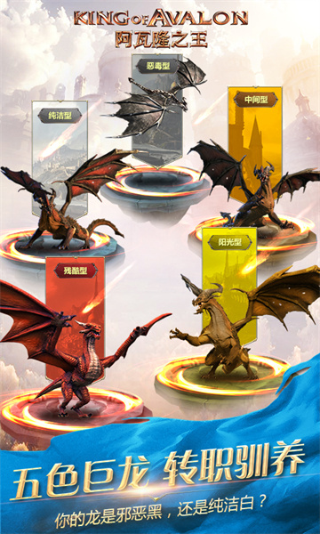 阿瓦隆之王vivo平台