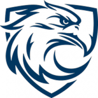 蓝鹰视域稳定版apk