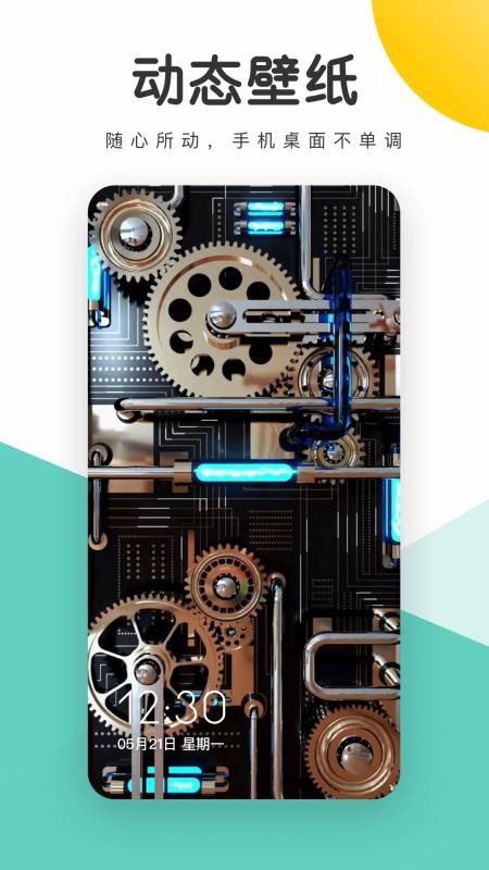 蜻蜓壁纸最新版 1